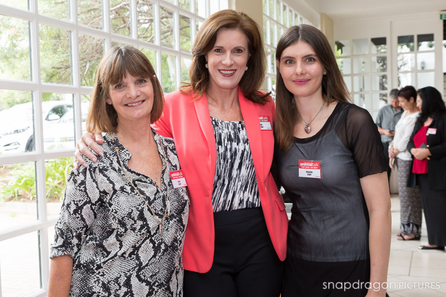 Agility, Animal Talk, Awards Photographer, Awards Photography, Bravecto, Breed Show, Event Photographer, Event Photography, Function Photographer, Function Photography, Johannesburg Event Photographers, Johannesburg Event Photography, Leanne Russell Williams, Panorama Media Corp, Sean and Leanne Williams, Snapdragon Pictures, Top Dog, Top Dog 100 Ratings, Top Dog Agility, Top Dog Awards